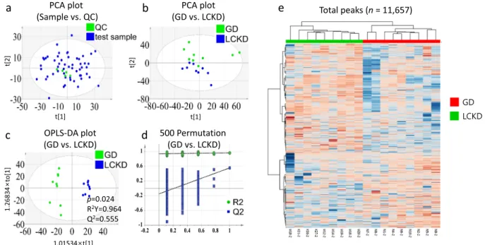 Table 2.  OPLS-DA parameters and permutation test for distinguishing GD and LCKD groups
