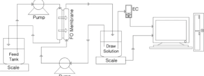 Fig.  1  Schematic  diagram  of  laboratory-scale  forward  osmosis  system
