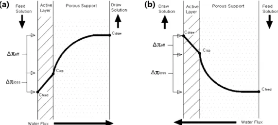 Fig.  4  Schematic  representation  of  (a)  dilutive  internal  concentration  polarization  and  (b)  concentrative  internal  concentration  polarization