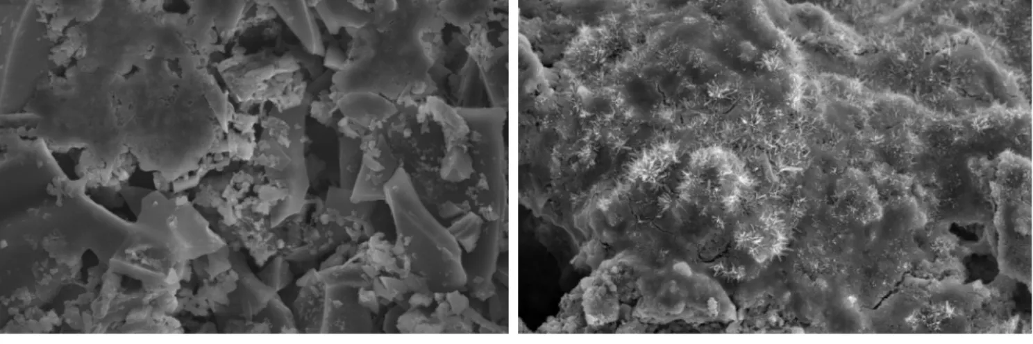 Fig.  10  SEM  analysis  (Curing  7day,  ×2,000)라.  동결융해  특성Fig.  8은  동결융해  싸이클에  따른  시멘트  혼합토의  손실률과 재료  (화산재  및  제올라이트)의  혼합률과의  관계를  나타낸  것이다