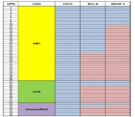 Figure 1. Cell of origin by Hans criteria and Lymph2Cx algorithm 