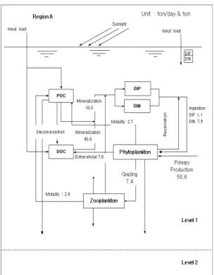 Fig. 6. Estimated of mass balance using the simulated  results of eco-hydrodynamic model.