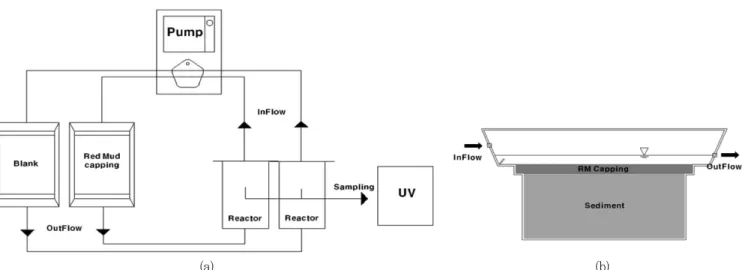 Fig.  1  Schematic  diagram  of  (a)  sediment  elution  water-tank  experiment  system  and  (b)  cross-section  of  water-tank