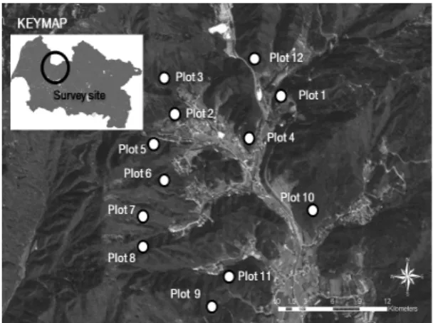 Fig. 1. Location map of survey plots in Mt. Jungmi.