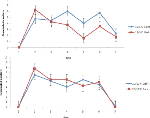Fig. 5. Germination aspect of chilling treated seeds for 120 days. 