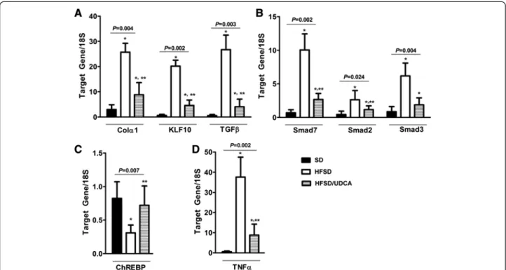 Figure 4 Decreased KLF10 mRNA expression and improved NASH upon UDCA administration with HFSD