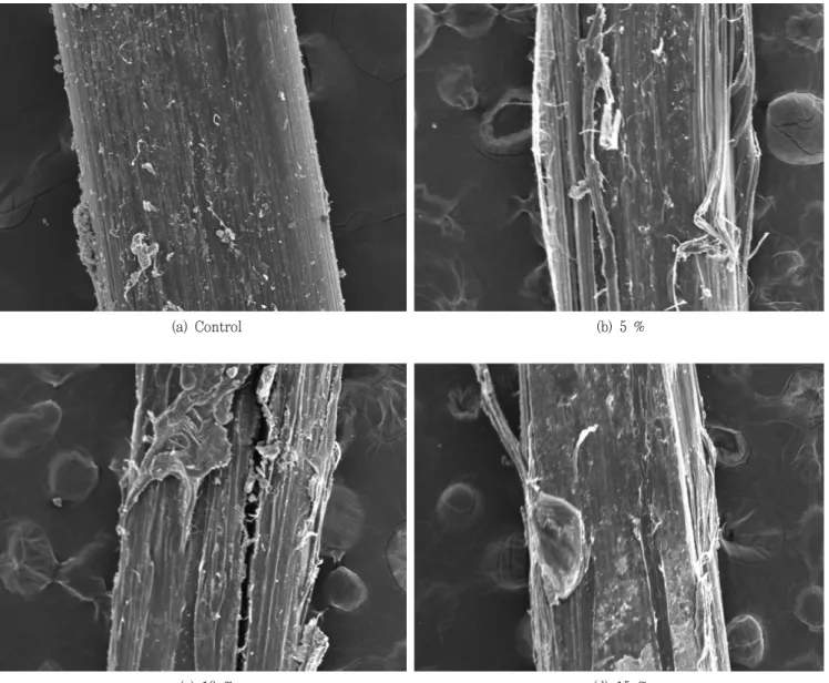 Fig.  7  Microstructure  analysis  of  structural  PVA  fiber  surface  in  silica  fume  cement  matrix  (×100)로  판단된다