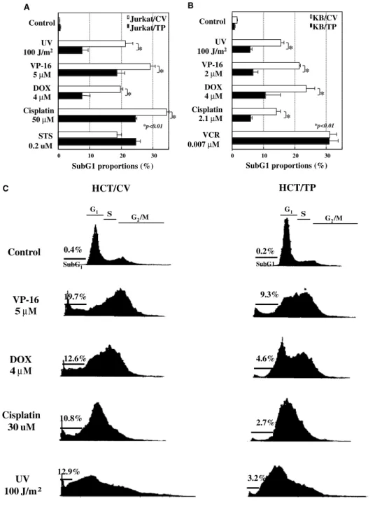 Fig. 4. The eﬀects of DNA damage-inducing agents on the apoptotic fraction of TP-transfected cell lines