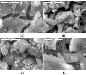 Fig. 1. SEM images of materials (A : Virgin GAC, B : 5wt% Si/GAC, C : 10wt% Si/GAC, D : 20wt% Si/GAC).