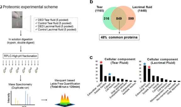 Table 1.  Clinical parameters for the classification of dry eye disease and control patients at each proteomic  analysis