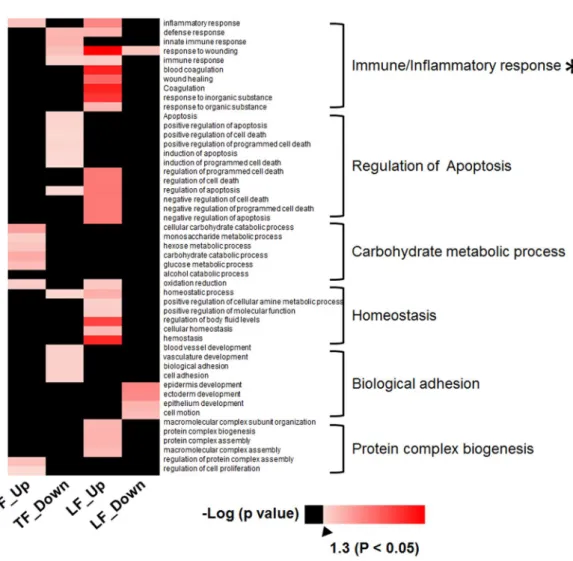 Figure 2.  Gene Ontology analysis of differentially expressed proteins in tear fluid and lacrimal fluid