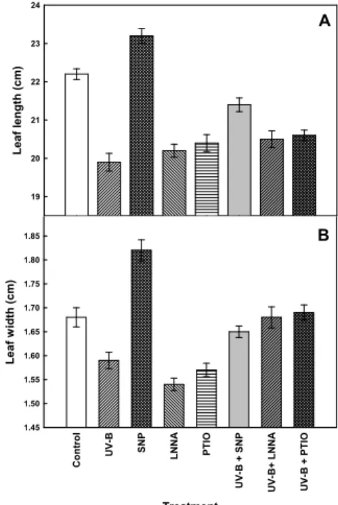 Fig. 1. Effect of NO on leaf length (A) and width (B) of maize  seedlings in the presence or absence of UV-B radiation.