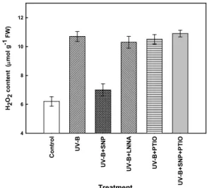 Fig.  5.  Effect  of  NO  on  H 2 O 2   content  in  the  maize  leaves  under UV-B radiation.