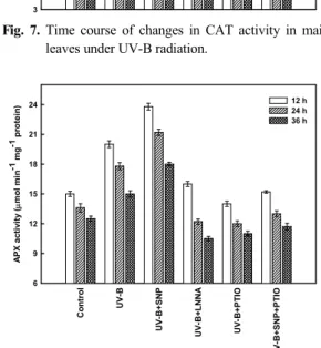 Fig.  8.  Time  course  of  changes  in  APX  activity  in  maize  leaves under UV-B radiation.