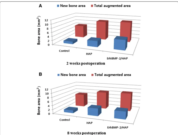 Table 4 Total augmented volume of each group, as measured by tomographic analysis