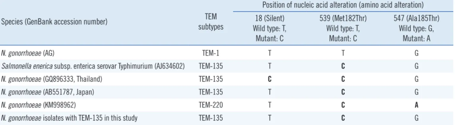 Table 1.  Alterations in the nucleic acid and amino acid sequences of TEM-1 and TEM-135 β-lactamase