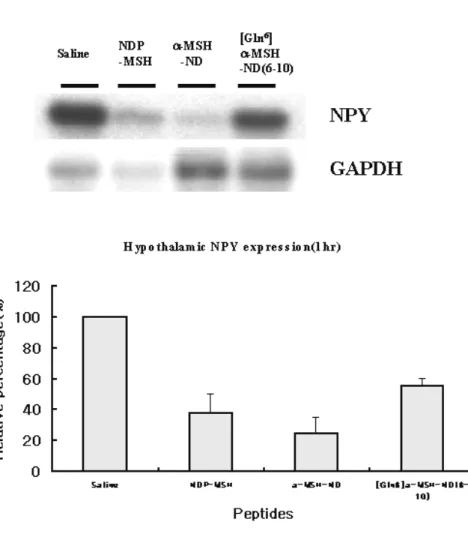 Fig.  7 RT-PCR analysis for hypothalamic mRNA expression levels of  MCH, AGRP and NPY after 1hr of administration of melanocortin  analogues