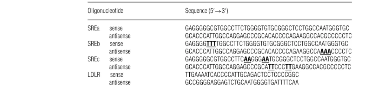 Table 1 Sequence of oligonucleotides used for the EMSA Mutated bases are represented in bold and underlined.