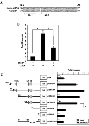 Figure 3 Identification of the SRE and binding of SREBP-1 in the human GLUT4 promoter