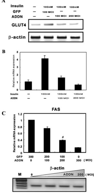 Figure 5 The functional relationship between Sp1 and SREBP-1 in the GLUT4 promoter