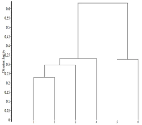 Fig. 5. Dendrogram of the  P. radicatum var. pseudoradicatum  communities based on cluster analysis