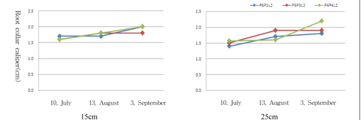 Fig. 2. Effect of soil thickness and soil mixture ratio on the root collar caliper of Pllioblastus pygmaed in the shallow-  extensive green roof module system.