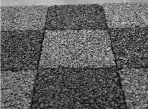 Fig.  4  Permeable  polymer  block  view  in  permeable  block  pavement  (3)에  의하여  산출하였다