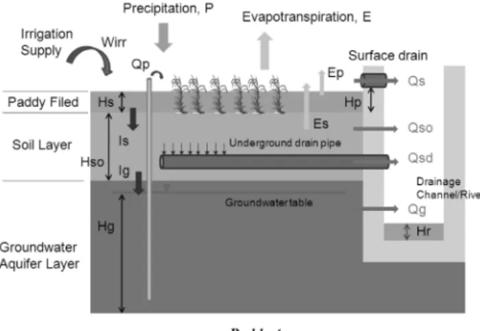 Fig.  3  Pipe  drainage  in  paddy  area