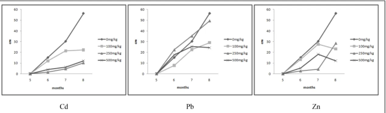 Fig. 2. Change of leaf length of Saxifraga stoloniferaas by affected different heavy metal concentration.