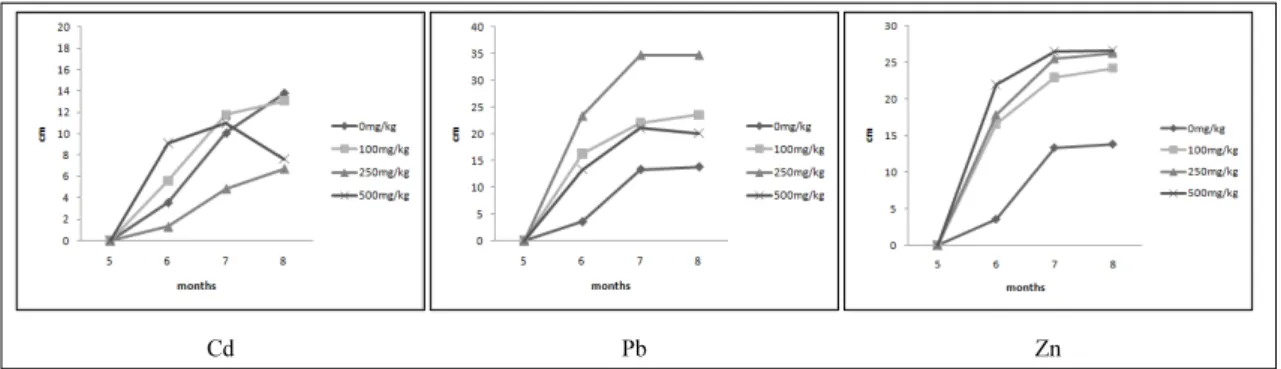 Fig. 4. Change of number of leave of Saxifraga stoloniferaas by affected different heavy metal concentration.