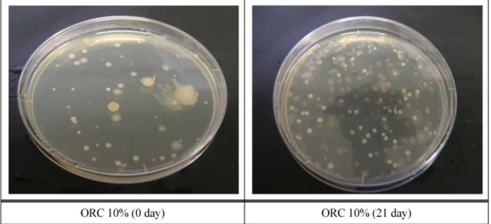 Fig. 8. Profile of TVCs by different addition of ORC  (MgO 2 ) amount in sediment. 