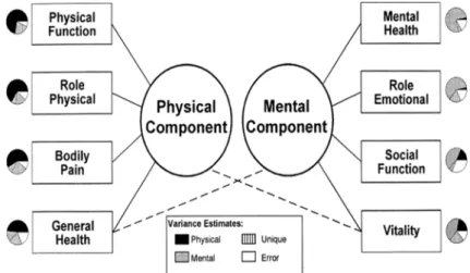 Fig. 1. Construct validation of the SF-36 two-component model. 10)