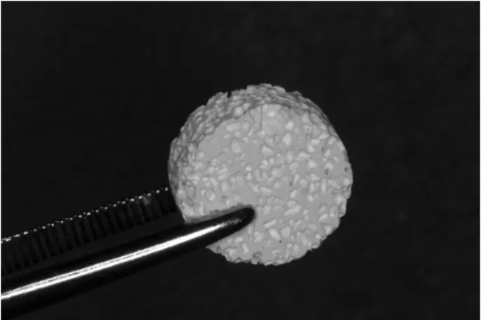 Figure 1. Block type MBCP implant used in this  study (3mm in height and 8mm in diameter)