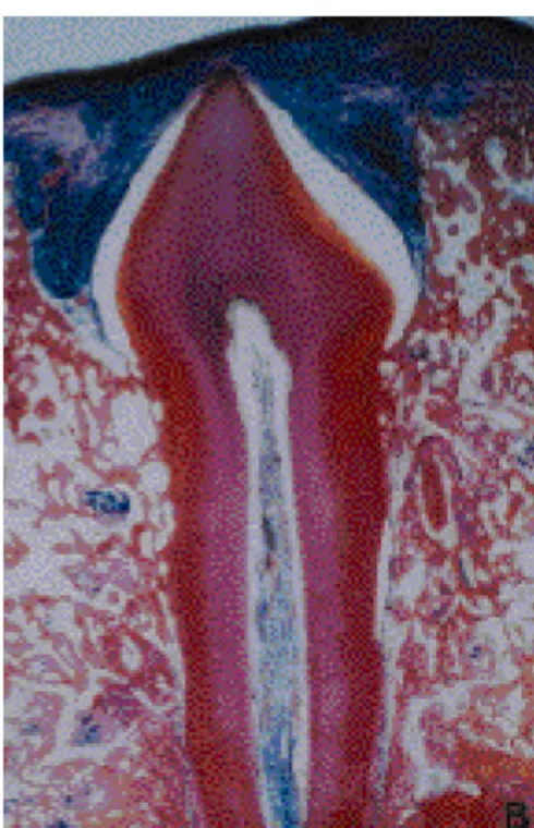 Figure 5 Figure 4