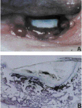 Figure 6 Figure 7