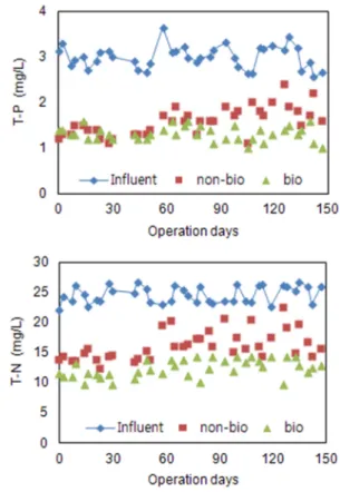 Fig. 6. Variation of influent and effluent concentration for T-N and T-P with BIO-CLOD addition.