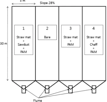 Fig.  1  Sketch  of  the  field  plot