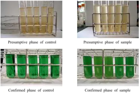 Fig. 7. Photographs of total coliforms about gas produced in fermentation tubes of the LB and BGLB medium.
