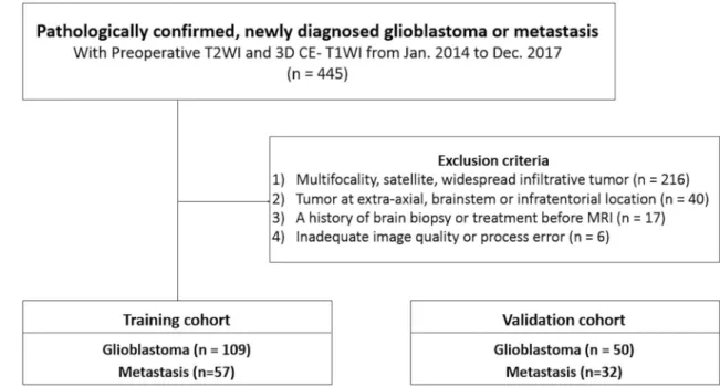 Figure 1.  Flow chart of patient inclusion. T2WI T2-weighted image, 3D CE-T1WI three-dimensional contrast-
