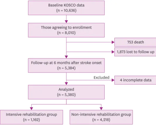 Fig. 1.  Summary of the study population.