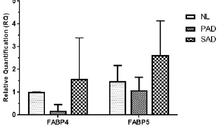 Figure 6. qRT-PCR result displayed increased FABP5 expression in the SAD  mouse  skin