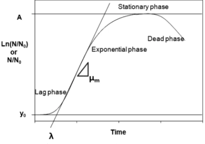 Fig.  1  A  growth  curve  of  microorganisms