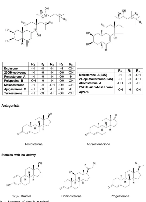 Fig. 1. Structures of steroids examined.