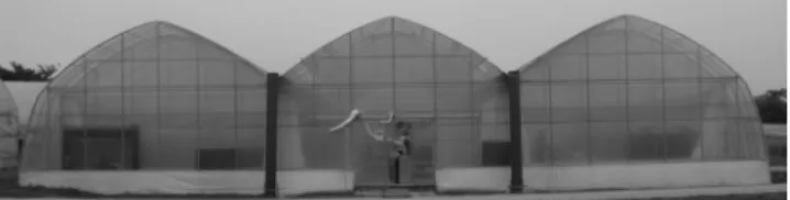 Fig.  1  Shape  of  experimental  greenhouse.
