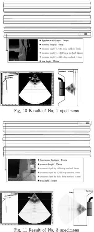 Fig.  12  Result  of  No.  5  specimens