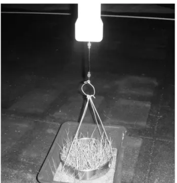 Fig.  4  Compressive  strength  of  CSG  types  for  curing  ages