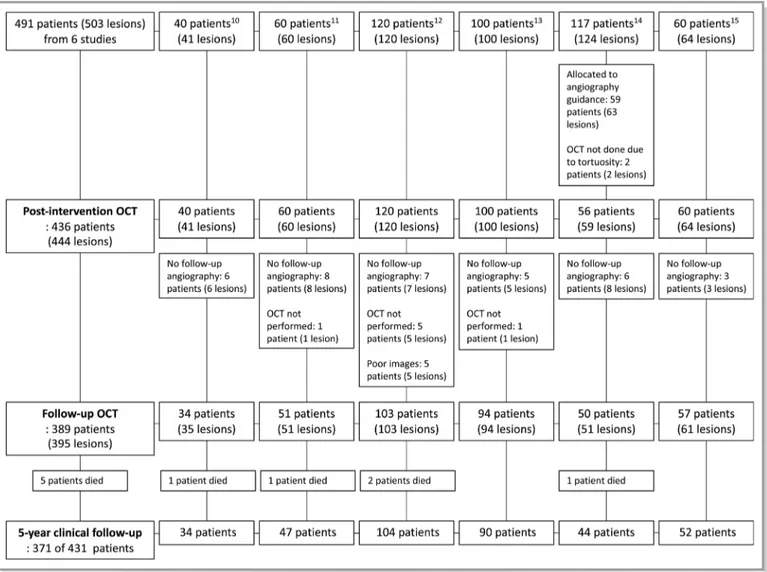 Table 1. Main Characteristics of 6 Randomized OCT Studies