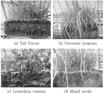 Fig.  6  Growth  length  with  kinds  of  plant  in  block