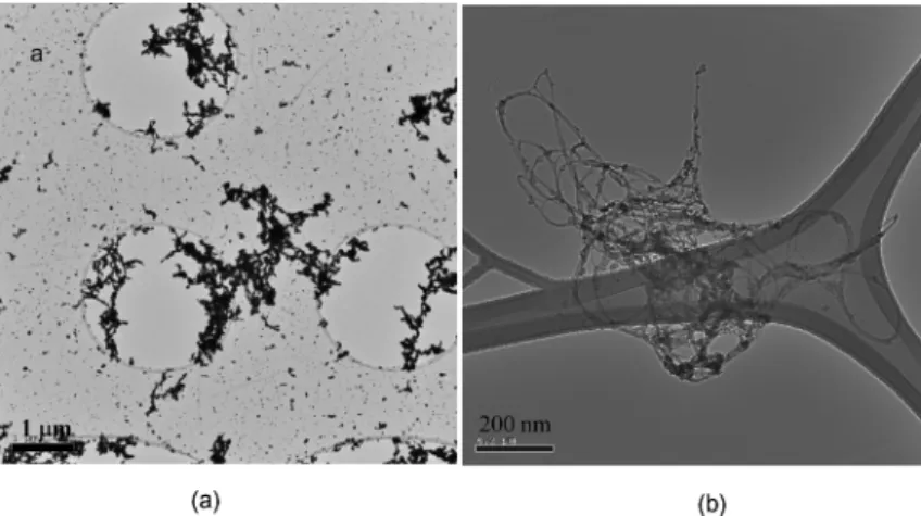 Fig. 1. Different agglomeration states of nanoparticles. They may affect differently its biological activity in the lung.