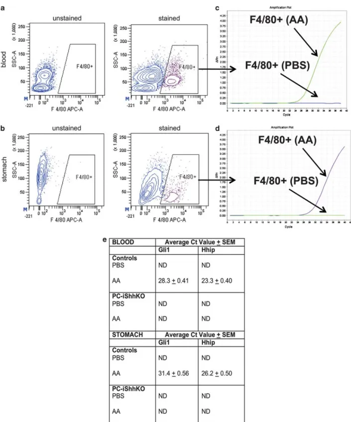 Figure 8 Gli1 and Hhip expression in macrophages FASC sorted from peripheral blood and gastric tissue 3 days post acetic acid-induced injury